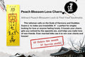 Peach Blossom Love Charm（Attract Peach Blossom Luck & Find Your Soulmate）